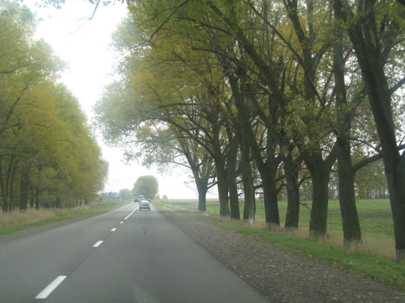 Що може бути краще за дорогу?