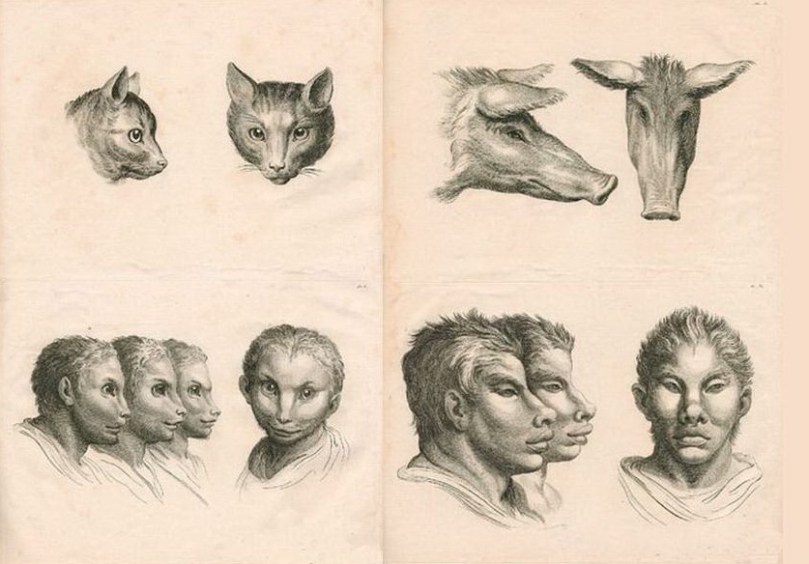 Альтернативна еволюція.