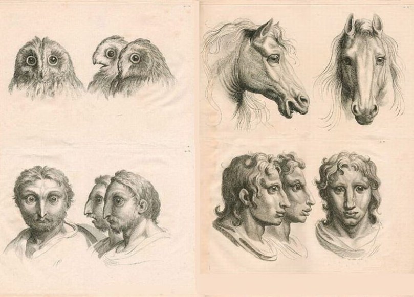 Ще одна альтернатива еволюції.