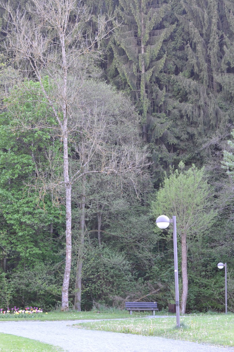 Парк у Дауні