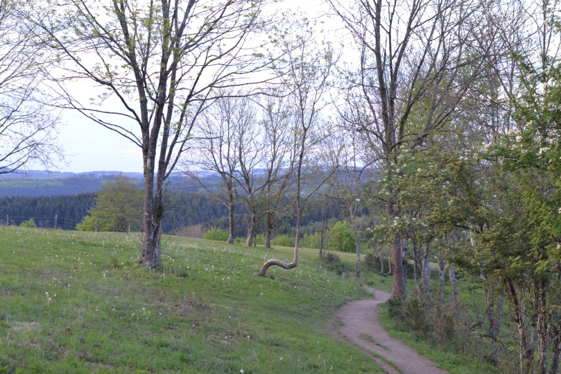 Вулканайфель - це чудове місце. щоб відчути себе хобітом, який несе чарівний перстень у незвідану даль