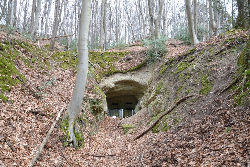 Притулок для кажанів