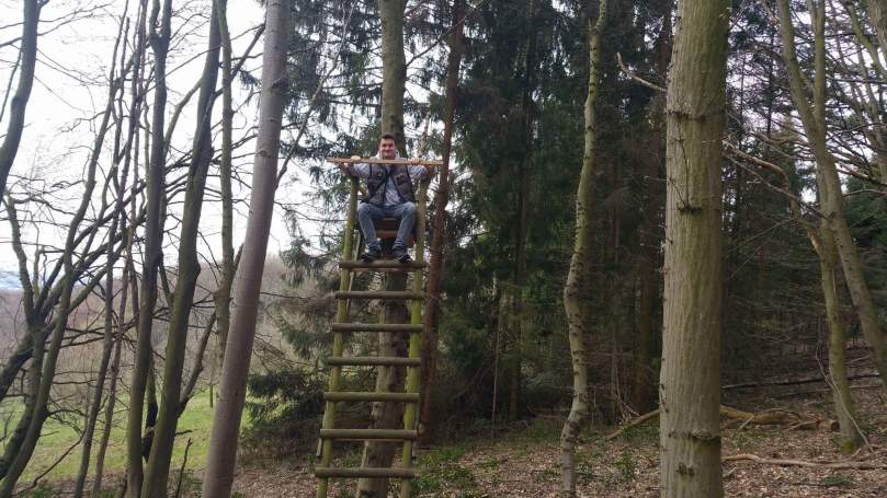 Дерев'яний "трон" лісу