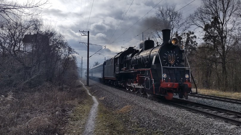 Паротяг їде серед похмурих зимових дерев на фоні сірого неба.